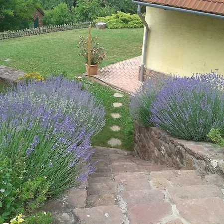 Hillside Апартаменты *