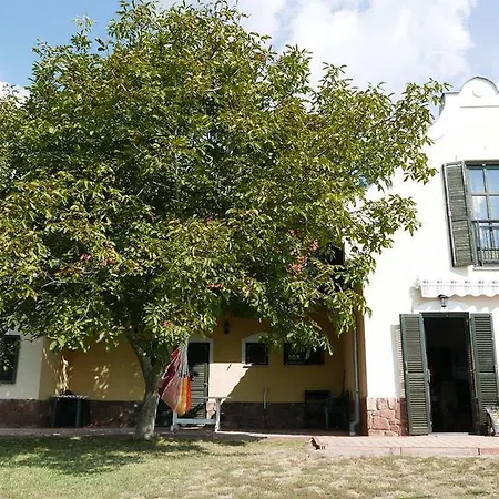 Hillside * Ревфюлёп