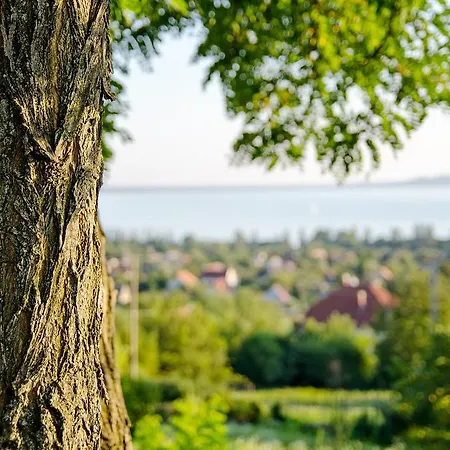 Hillside * Ревфюлёп